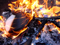 Fire