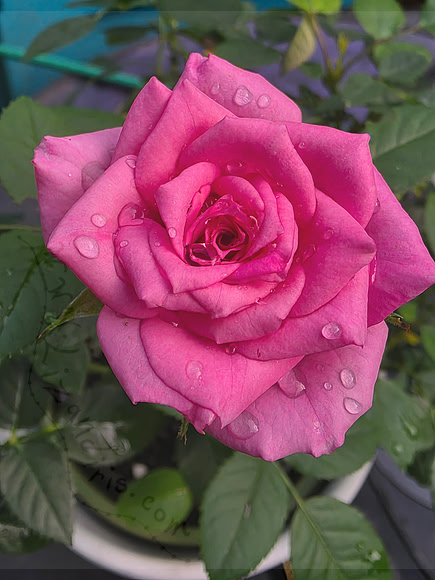 After the storm