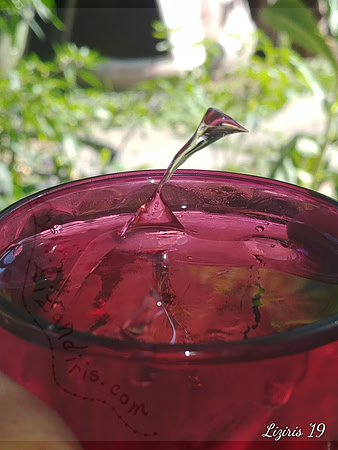 Fae in a cup