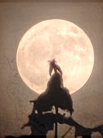 Strawberry Moon